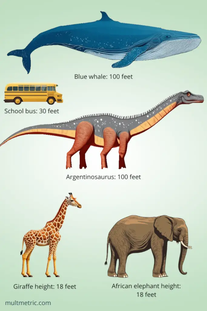 Past And Present Sea Creatures Size Comparison Blue W - vrogue.co